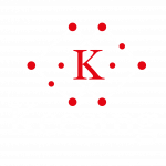 light logo